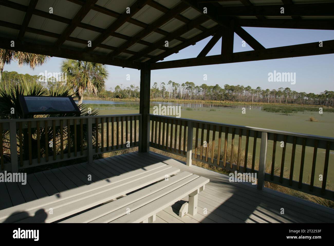 Vista dell'habitat delle paludi da una piattaforma di osservazione presso la riserva naturale nazionale St. Marks in Florida, progettata per l'osservazione della fauna selvatica e l'educazione. Foto Stock