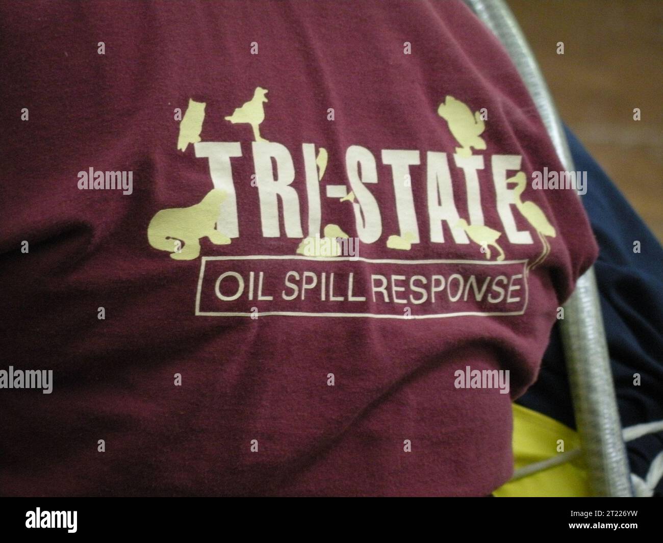 I centri di riabilitazione tri-statali in tutta la regione del Golfo trattano e stabilizzano gli uccelli colpiti dalla fuoriuscita di petrolio Deepwater Horizon prima di essere rilasciati nuovamente in natura. Foto Stock