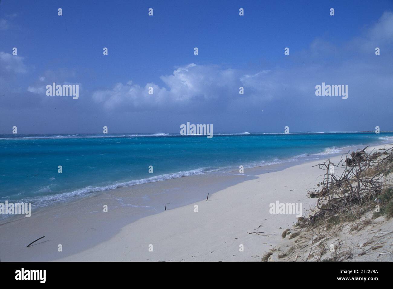 Litorale di spiaggia situato nell'atollo Midway sotto il cielo limpido. Soggetti: Scenics; Coastal Environments. Località: Hawaii. Fish and Wildlife Service Site: RISERVA NATURALE NAZIONALE DELL'ATOLLO MIDWAY. . 1998 - 2011. Foto Stock