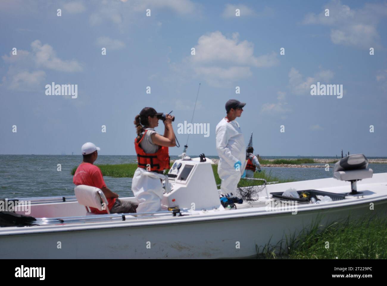 I biologi della pesca con lo U.S. Fish and Wildlife Service cercano pellicani bruni oliati nel Golfo. Soggetti: Fuoriuscite di petrolio; fuoriuscite di olio Deepwater Horizon; imbarcazioni; ambienti costieri; dipendenti (USFWS). Foto Stock