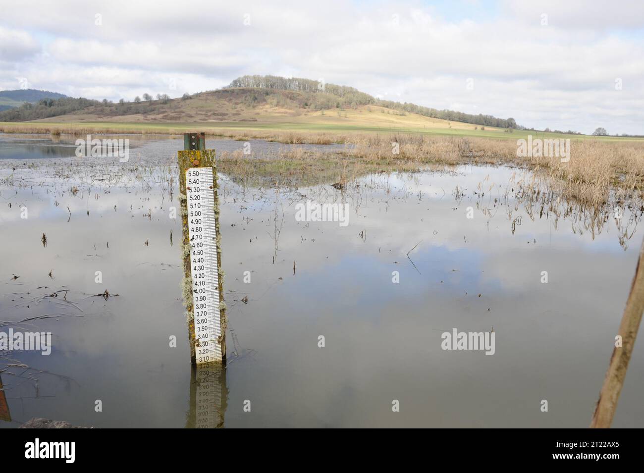 Un indicatore della struttura di controllo dell'acqua monitora i livelli dell'acqua in una zona umida presso il William L. Finley National Wildlife Refuge in Oregon. L'indicatore aiuta a gestire gli habitat delle zone umide per la fauna selvatica. Foto Stock
