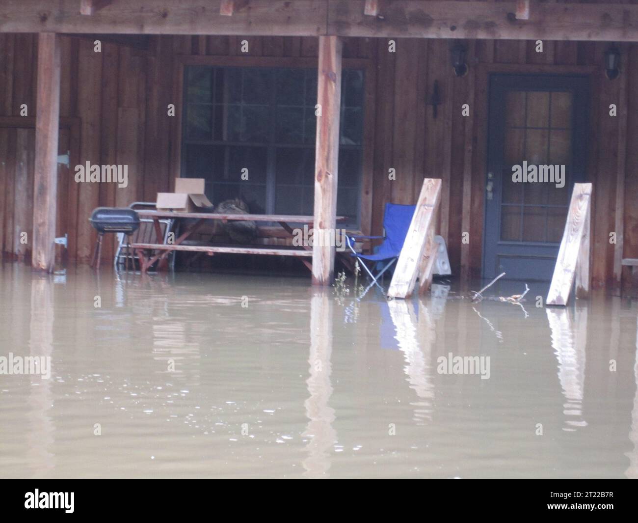 Un coyote si rifugia sul portico di Steen Cabin, una residenza temporanea presso il Panther Swamp National Wildlife Refuge. La cabina offre un rifugio sicuro durante le alluvioni in Mississippi. Foto Stock