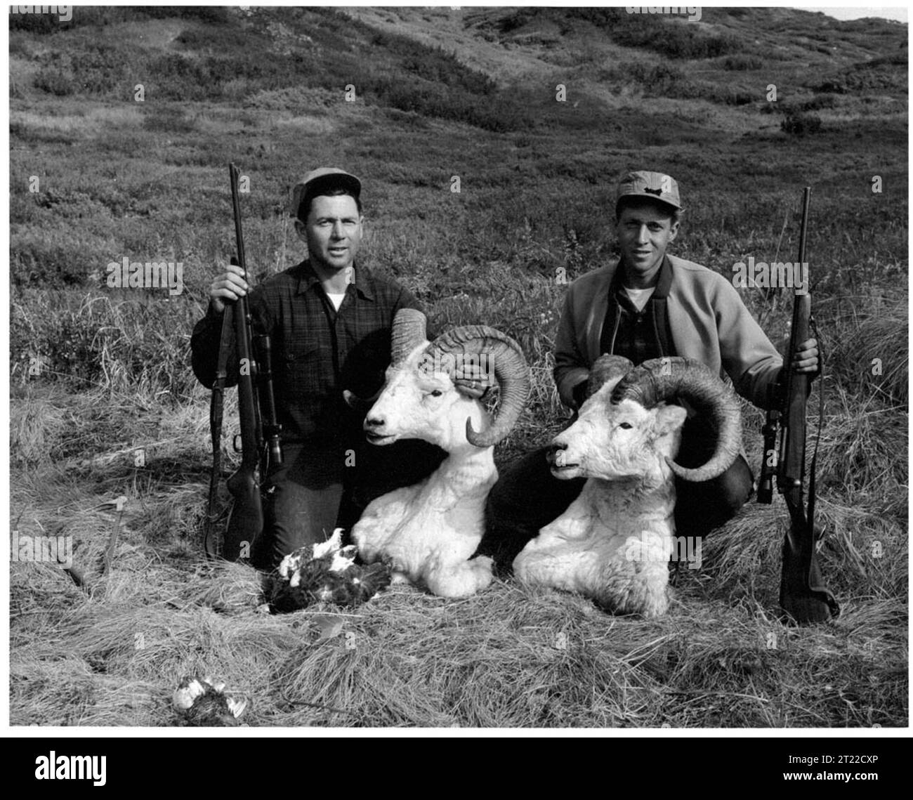 Un sacco misto di pecore Dahl e Ptarmigan è apprezzato da questi cacciatori dell'Alaska. Soggetti: Ricreazione; caccia; ARLIS; Alaska. Foto Stock