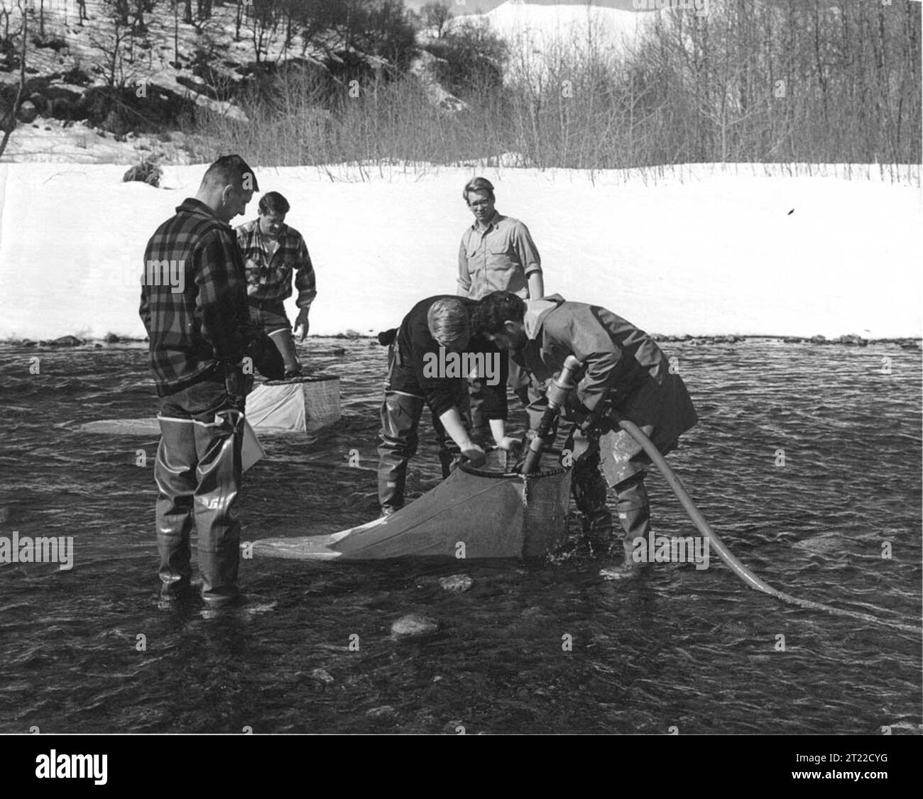 Alaska Department of Fish and Game egg Pumping nel fiume Tenor. Oggetto: Risorse della pesca; pesci; ARLIS; Alaska. Foto Stock