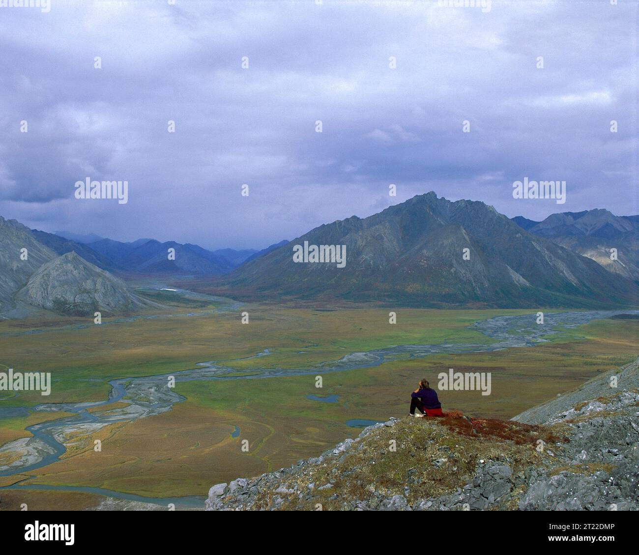 Arctic NWR, Fairbanks, Alaska: L'unica volta in cui i fiumi intrecciati delle pianure possono essere visti all'Arctic National Wildlife Refuge è durante la breve estate polare. Per il resto dell'anno, si trovano sotto diversi piedi di neve e ghiaccio, i 20 milioni di acri di. Soggetti: Montagne; rifugi naturalistici; Scenics. Località: Alaska. Fish and Wildlife Service Site: RISERVA NATURALE NAZIONALE ARTICA. . 1998 - 2011. Foto Stock