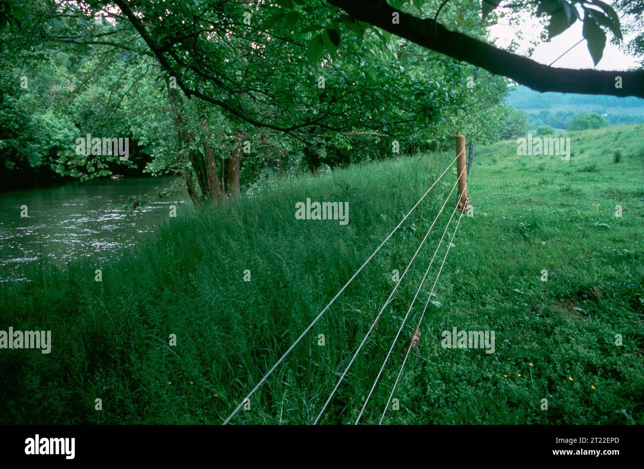 Una riva del fiume restaurata, un tempo danneggiata dal calpestamento del bestiame, ora recintata e seminata per promuovere la crescita della vegetazione e prevenire l'erosione. Questo sforzo di ripristino dell'habitat migliora la salute delle zone umide e la qualità dell'acqua. Foto Stock