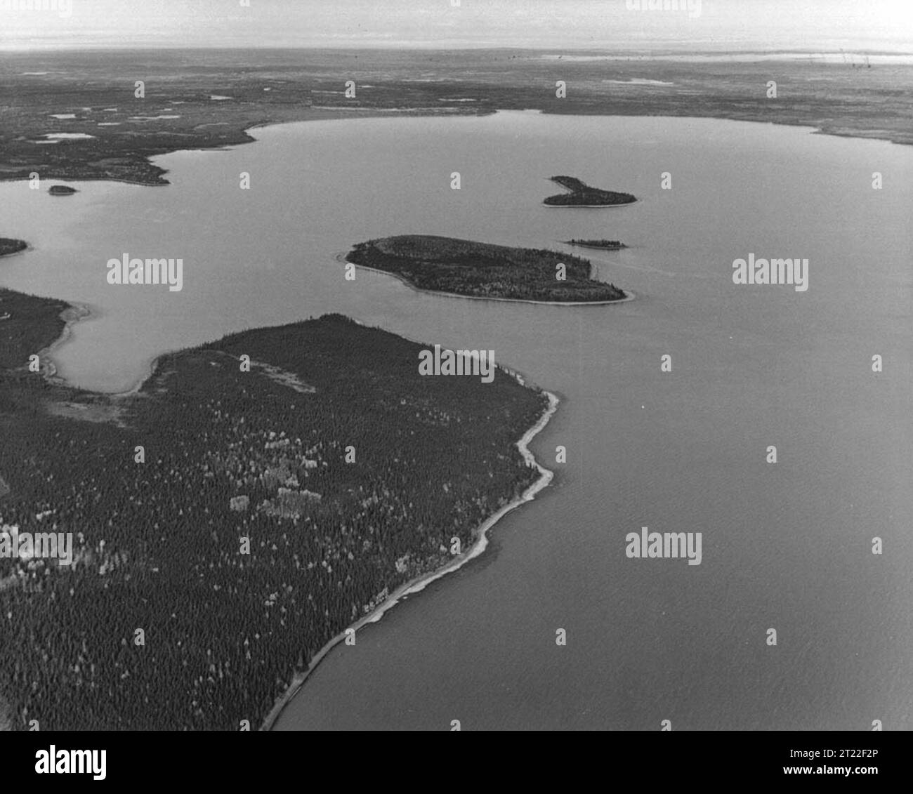 Vista aerea dell'isola Caribou nel lago Skilak, all'interno della riserva naturale nazionale Kenai, Alaska. Quest'isola e le sue acque circostanti forniscono un habitat cruciale per la fauna selvatica locale e gli uccelli migratori. Foto Stock