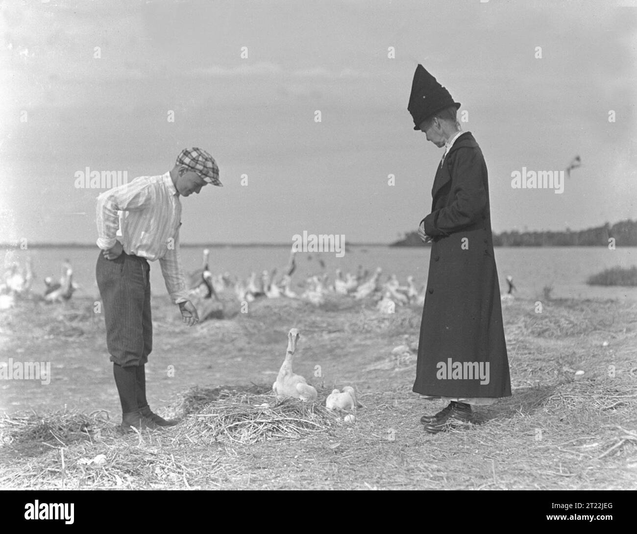 Pelican Island, Florida, ha affrontato molte sfide, tra cui cacciatori di peluche e disastri naturali. Oggi, si erge come un'area protetta per la fauna selvatica, in particolare il pellicano bruno. Foto Stock