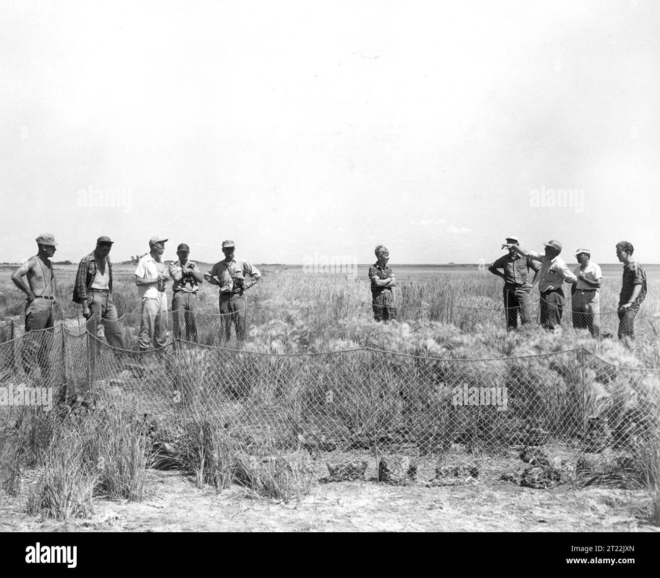 Un'indagine storica sugli uccelli acquatici del 1951 rivela l'importanza delle operazioni di cattura e sbarco nel monitoraggio delle popolazioni di uccelli. Questo sondaggio fa parte degli sforzi di conservazione a lungo termine per gli uccelli acquatici migratori. Foto Stock