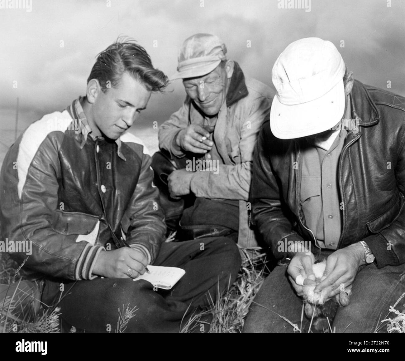 Il personale FWS raccoglie dati durante un'indagine storica sugli uccelli acquatici nel 1951 ad Alberta, Canada. Le bande e la registrazione dei dati erano essenziali per comprendere i modelli migratori e la salute delle specie. Foto Stock