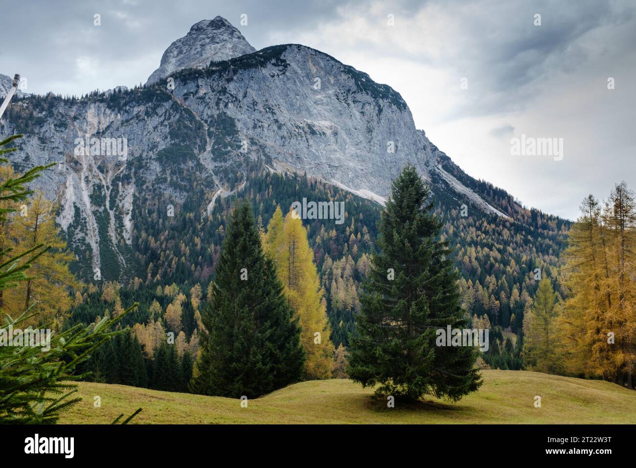Herbstlandschaft in der Tiroler Zugspitzarena Foto Stock
