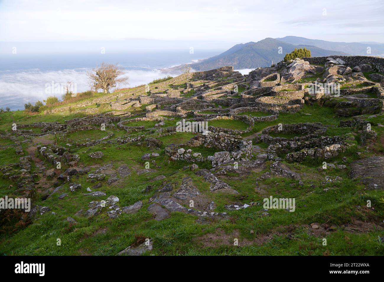 Celtic Castro a Santa Tecla. Pontevedra. Spagna Foto Stock