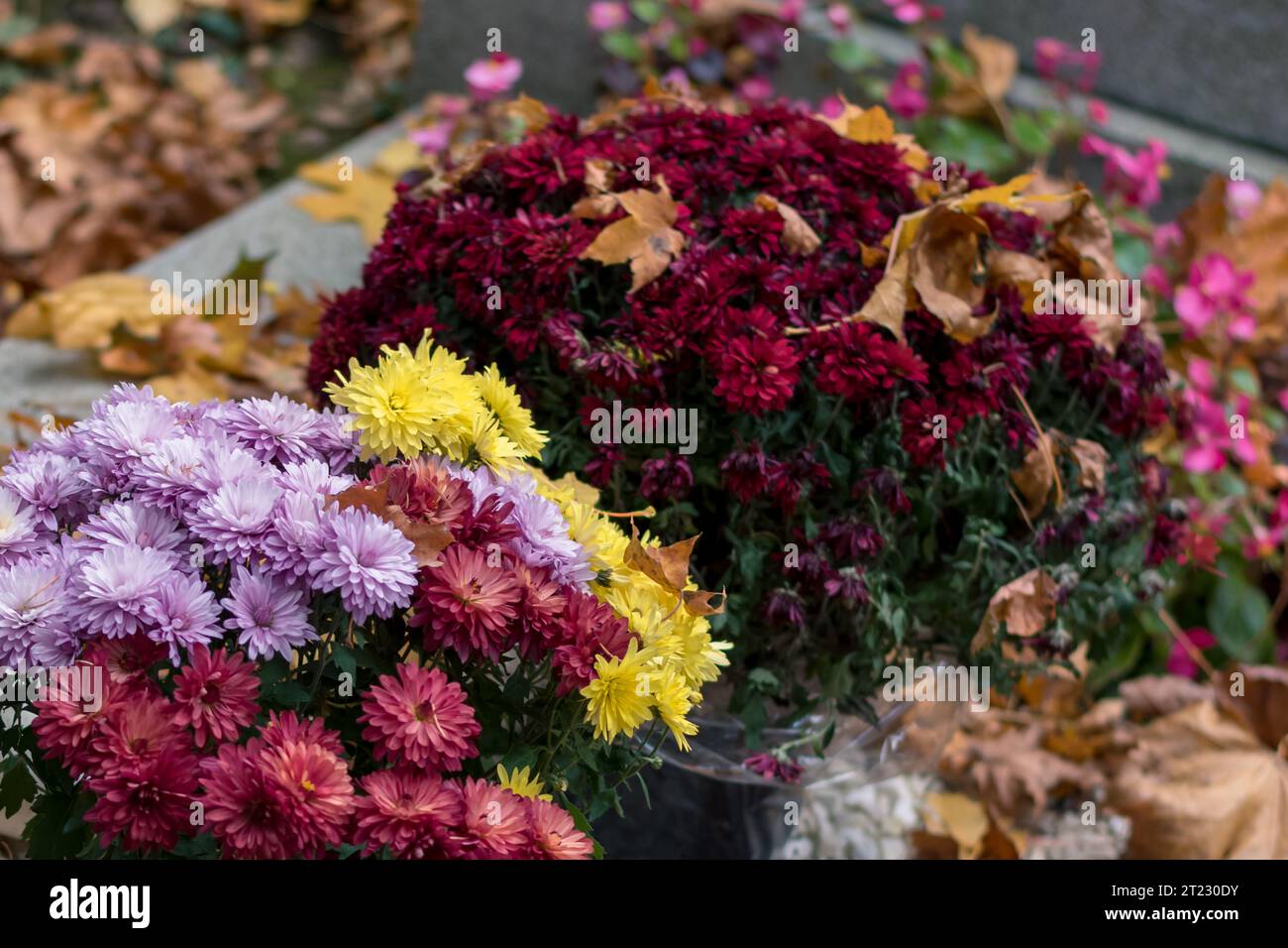 Celebrazione del giorno di tutte le anime nel cimitero, decorazione tradizionale su lapide Foto Stock