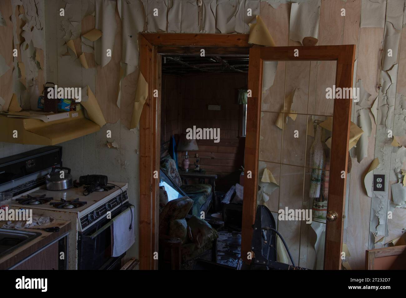 Cucina all'interno di una capanna abbandonata a Pouch Cove, Newfoundland & Labrador, Canada Foto Stock