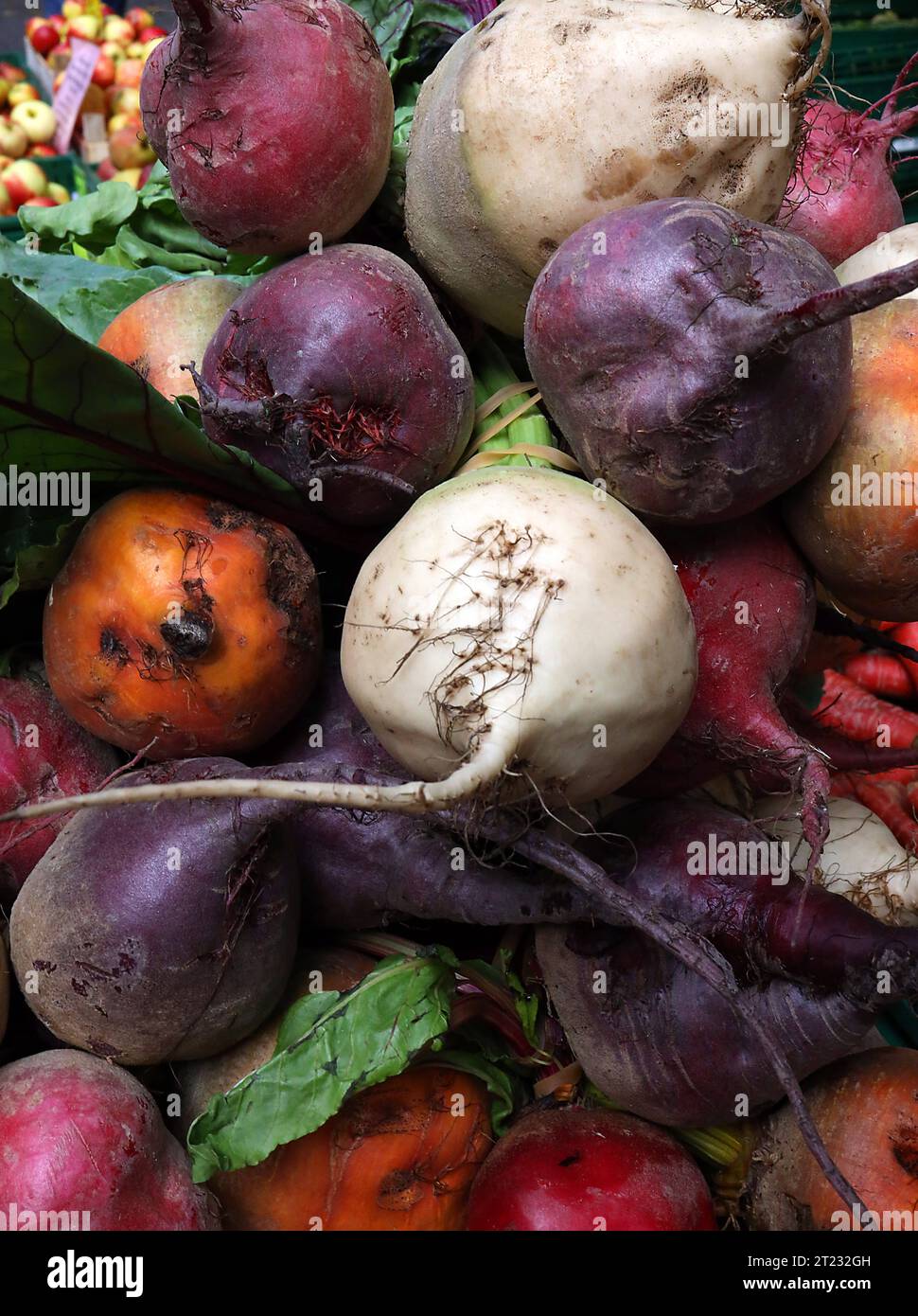 14.10.2023/Thüringen Weimar Zwiebelmarkt Herbst Herbstgemüse Ringelbete caramelle barbabietole betterave chioggia bunte Bete *** 14 10 2023 Turingia Weimar mercato della cipolla autunnale boccoli di verdure caramelle barbabietola da zucchero betterave chioggia barbabietola colorata credito: Imago/Alamy Live News Foto Stock