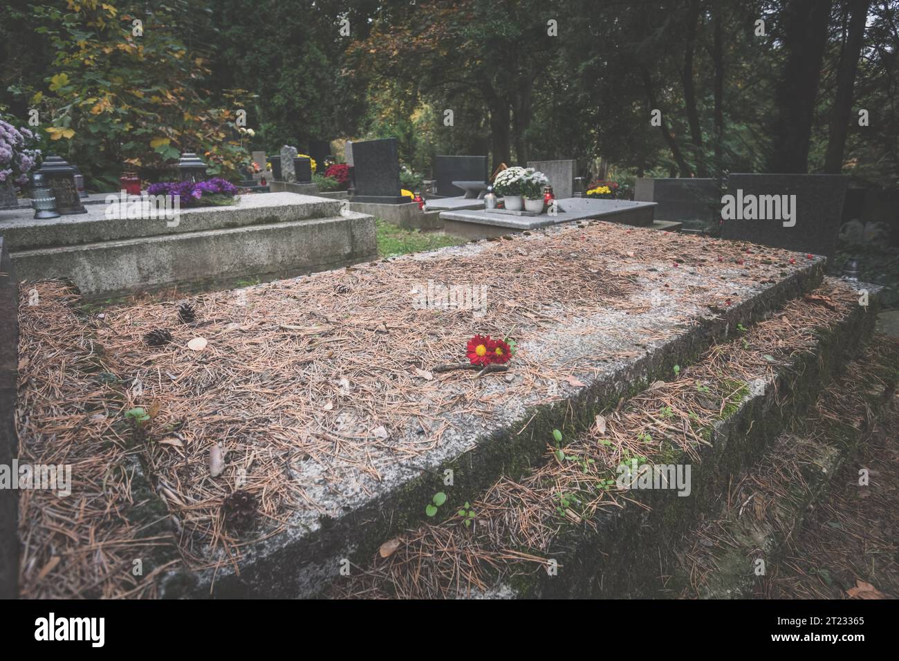 Celebrazione del giorno di tutte le anime nel cimitero, decorazione cristiana tradizionale su lapide Foto Stock