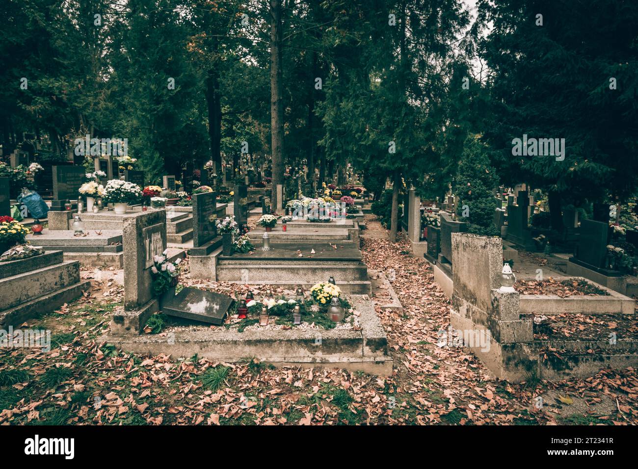 Celebrazione del giorno di tutte le anime nel cimitero, decorazione tradizionale cristiana su lapide, candele, lanterne, fiori Foto Stock