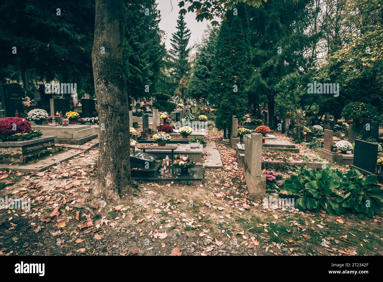 Celebrazione del giorno di tutte le anime nel cimitero, decorazione tradizionale cristiana su lapide, candele, lanterne, fiori Foto Stock