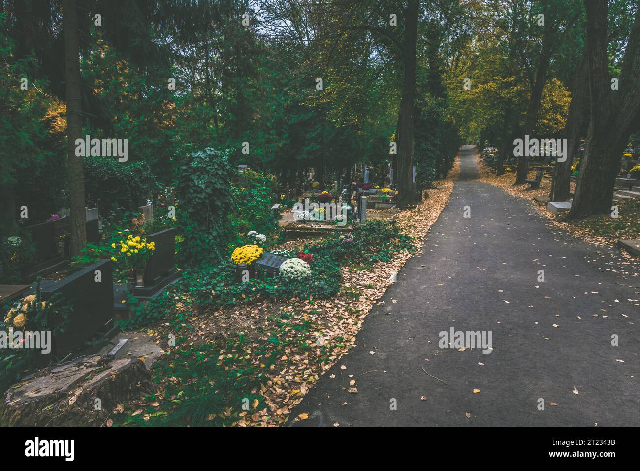 Celebrazione del giorno di tutte le anime nel cimitero, decorazione tradizionale cristiana su lapide, candele, lanterne, fiori Foto Stock