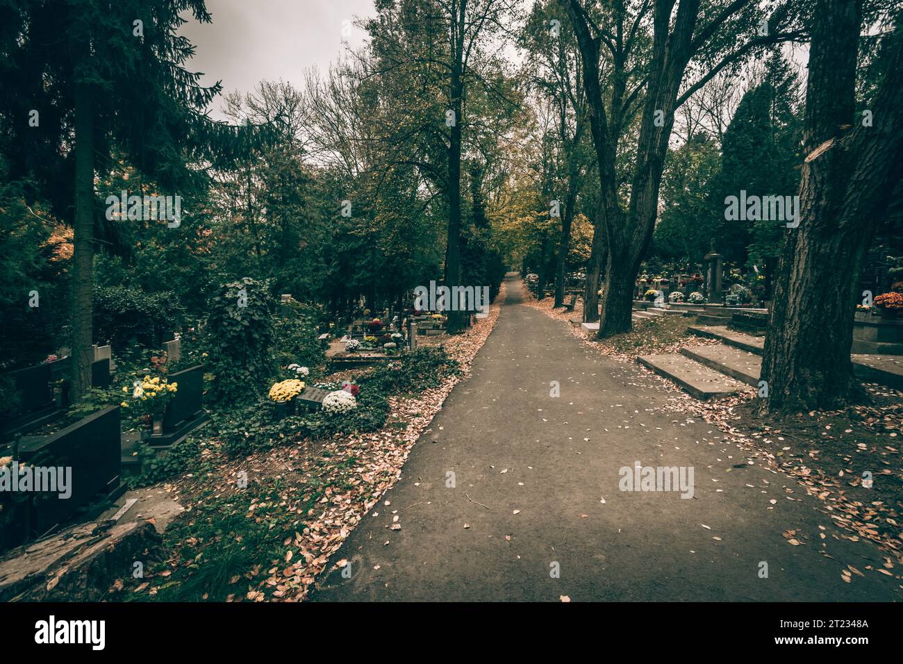Celebrazione del giorno di tutte le anime nel cimitero, decorazione tradizionale cristiana su lapide, candele, lanterne, fiori Foto Stock