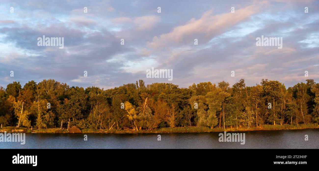 Splendido cielo dinamico sulla foresta che circonda il lago durante una serata autunnale Foto Stock