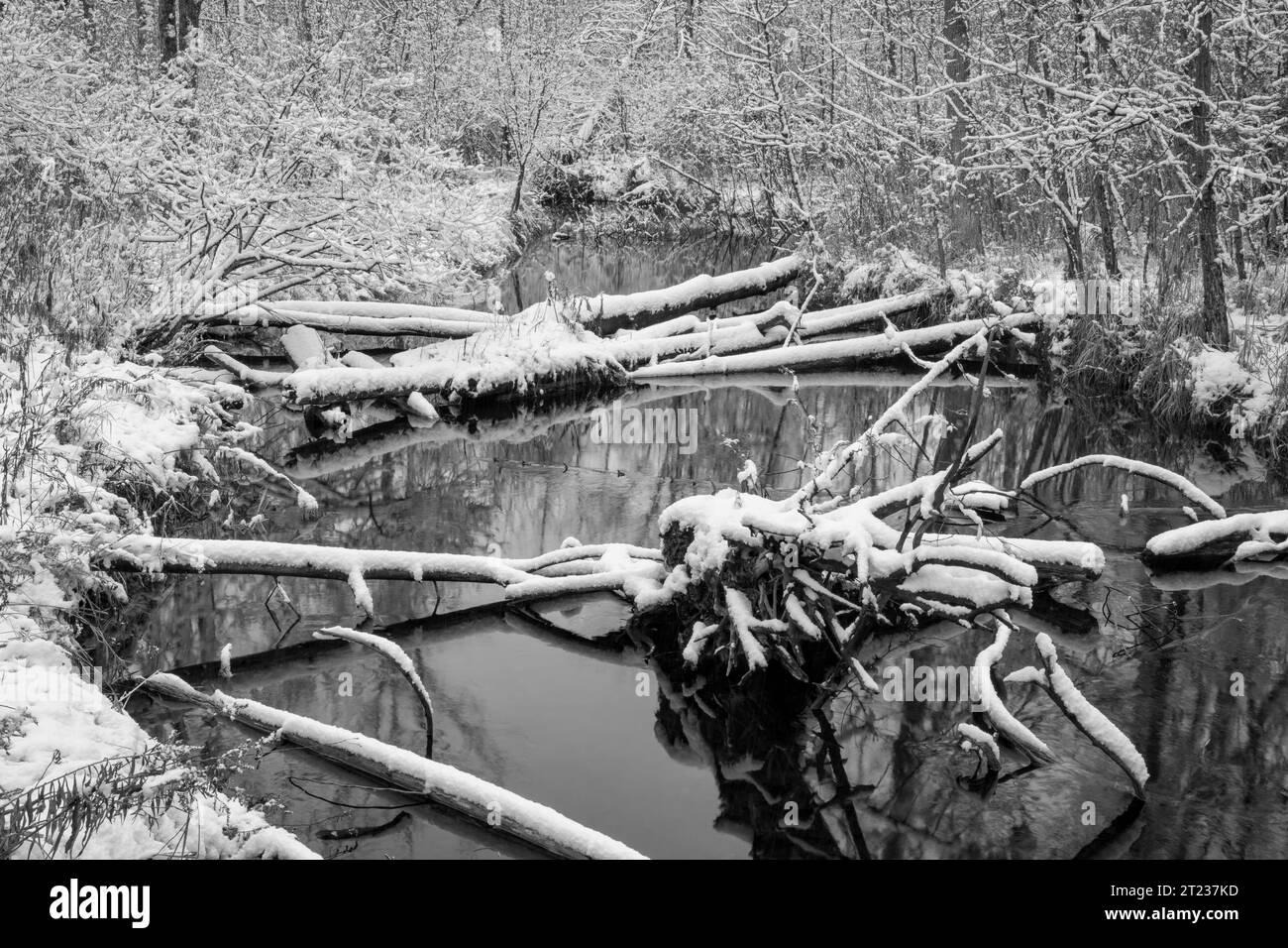 Il bianco e nero è il mio mezzo preferito e l'inverno si presta a questo mezzo come potete vedere in queste immagini che ho creato nella Door County Wisconsin. Foto Stock