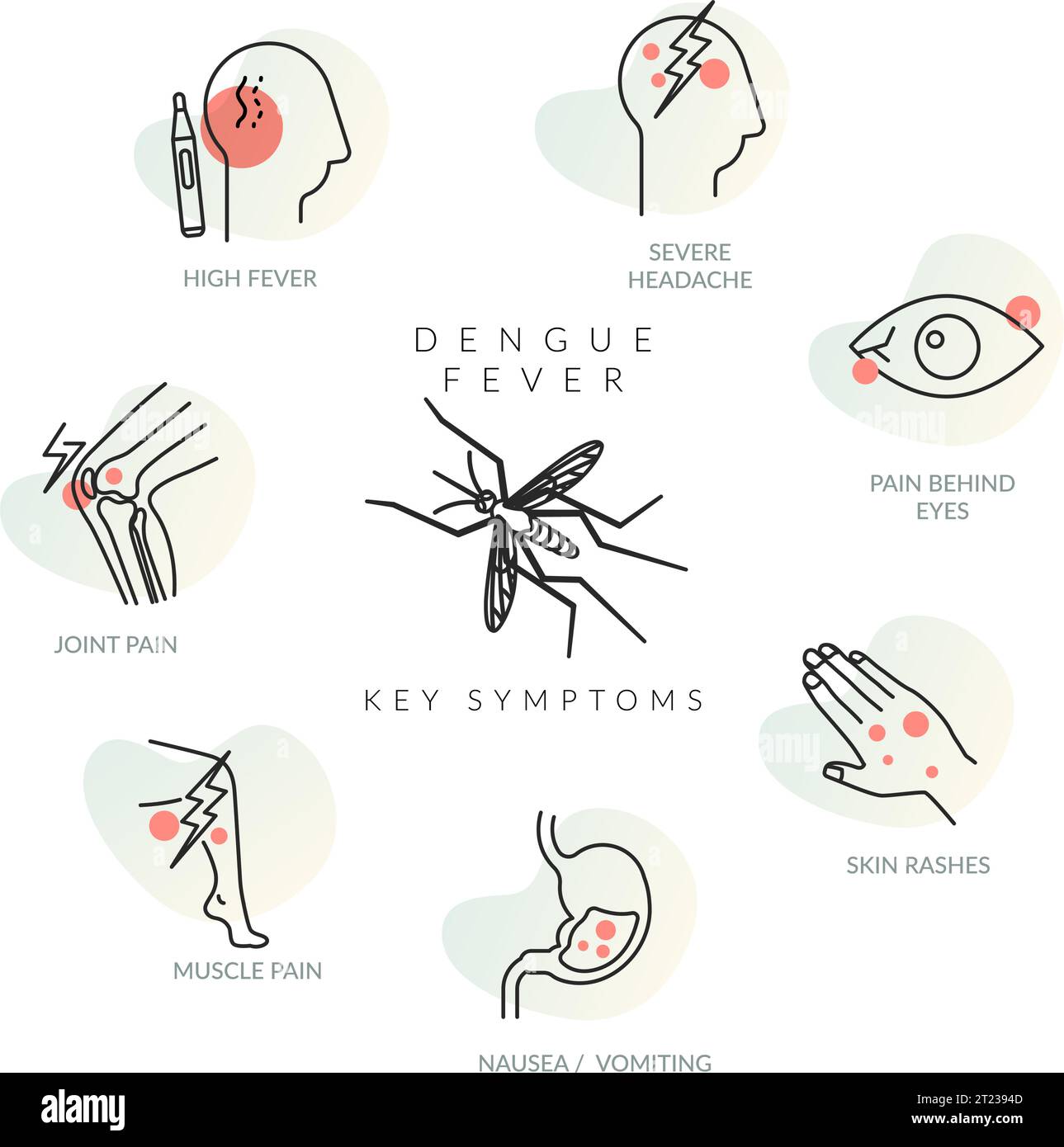 Dengue Fever (DENV) - sintomi chiave - illustrazione stock come file EPS 10 Illustrazione Vettoriale