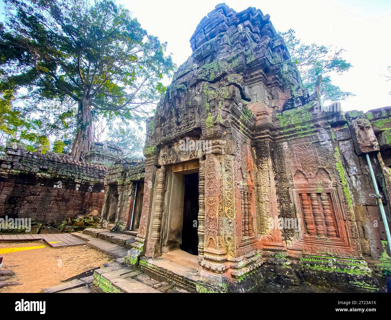 TA Prohm, un misterioso tempio della civiltà Khmer, situato nel territorio di Angkor in Cambogia. Foto Stock