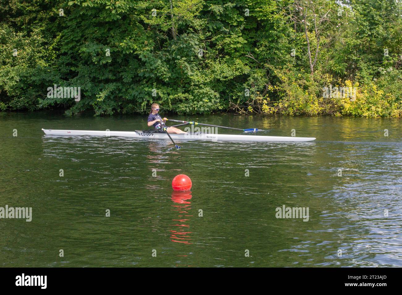 14 23 giugno Un canottiere single in addestramento sul fiume a Henley-on-Thames nell'Oxfordshire, in preparazione alla regata reale la settimana successiva. Foto Stock