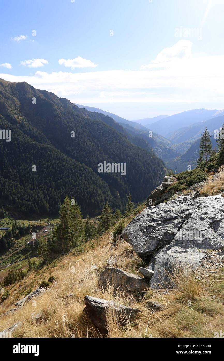 Montagne di Făgărăş, contea di Argeș, montagne di Făgărăş, Carpazi meridionali, Transilvania, Romania, Europa Foto Stock