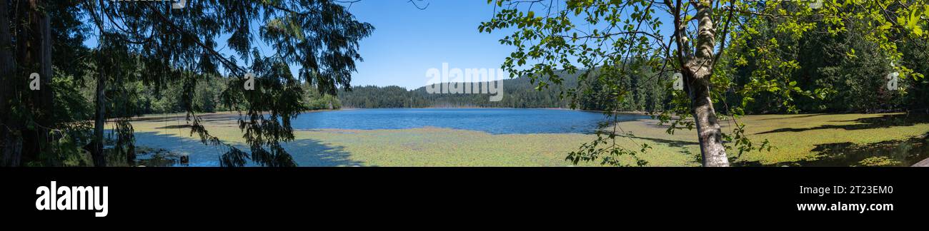 Vista panoramica del lago Killarney. Il lago Killarney è un luogo panoramico nel Crippen Regional Park a Bowen Island, British Columbia, Canada. Foto Stock