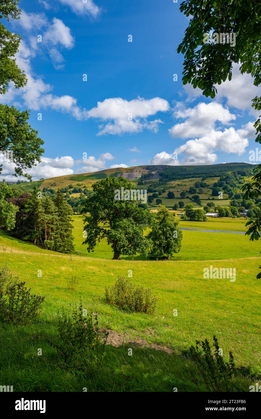 La valle del fiume Dee a Carrie vicino a Corwen nel Galles del Nord. Foto Stock