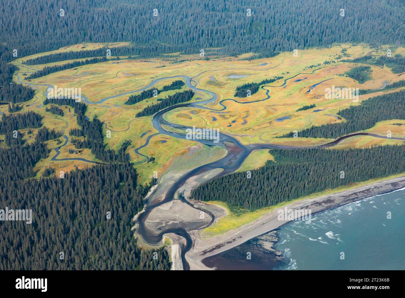 Una vista aerea mostra un fiume che si snoda attraverso un'area paludosa e si svuota nell'oceano, circondato da una fitta foresta. Il percorso del fiume crea una complessa rete di canali e piscine, mettendo in mostra la bellezza naturale e la diversità ecologica del paesaggio. Foto Stock