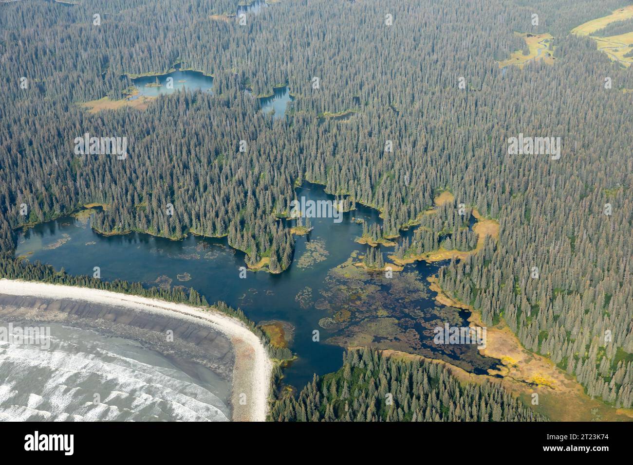 Vista aerea delle zone umide delle foreste che incontrano l'oceano nel Lake Clark National Park and Preserve Foto Stock