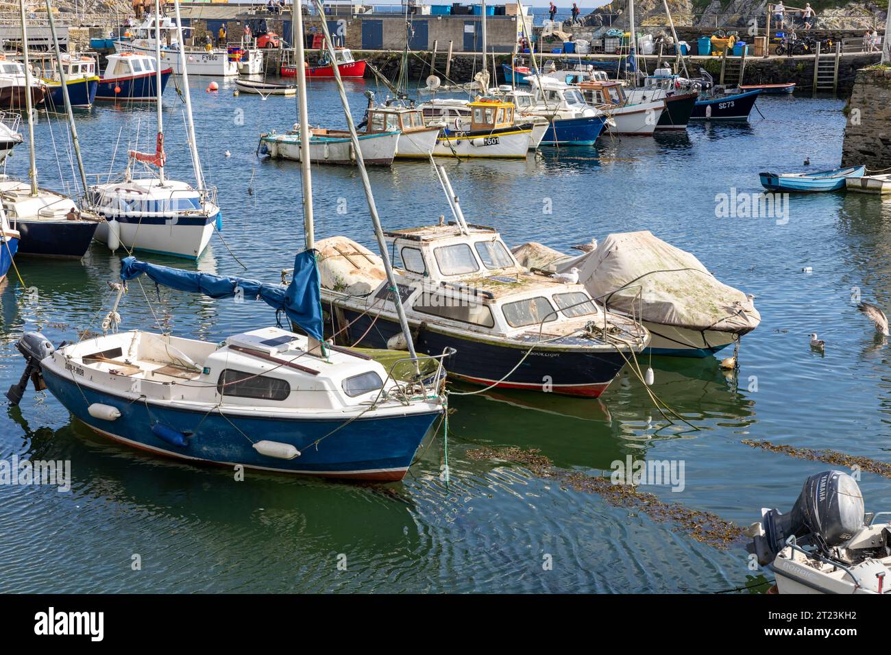 Villaggio di pescatori di Polperro sulla costa meridionale della Cornovaglia, piccole barche da pesca ormeggiate nel porto, Inghilterra, Regno Unito, 2023 Foto Stock