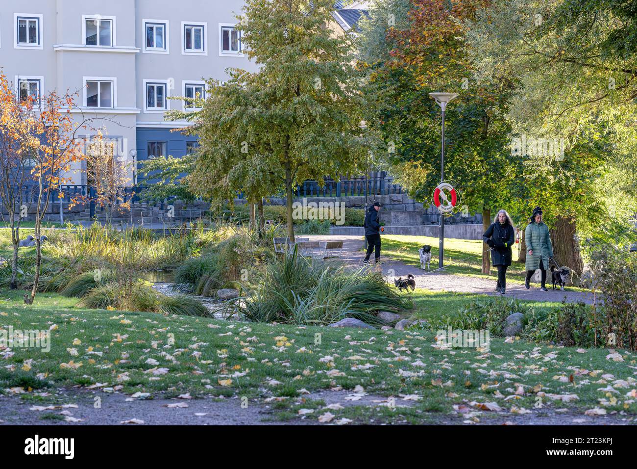 Parco cittadino di Strömparken in autunno in Svezia. Norrköping è una storica città industriale in Svezia. Foto Stock