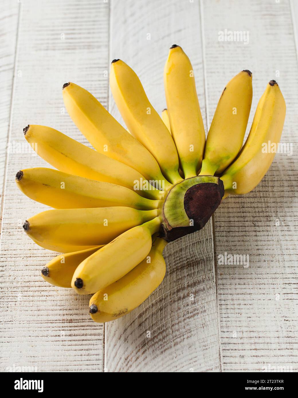 Mini banane mature su sfondo di legno bianco. cibo sano, frutta Foto Stock