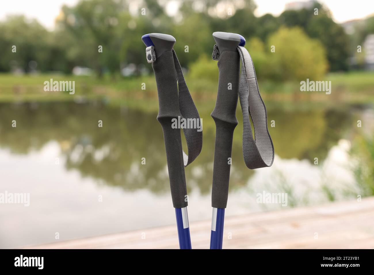 Due bastoncini per il nordic walking all'aperto, primo piano Foto Stock
