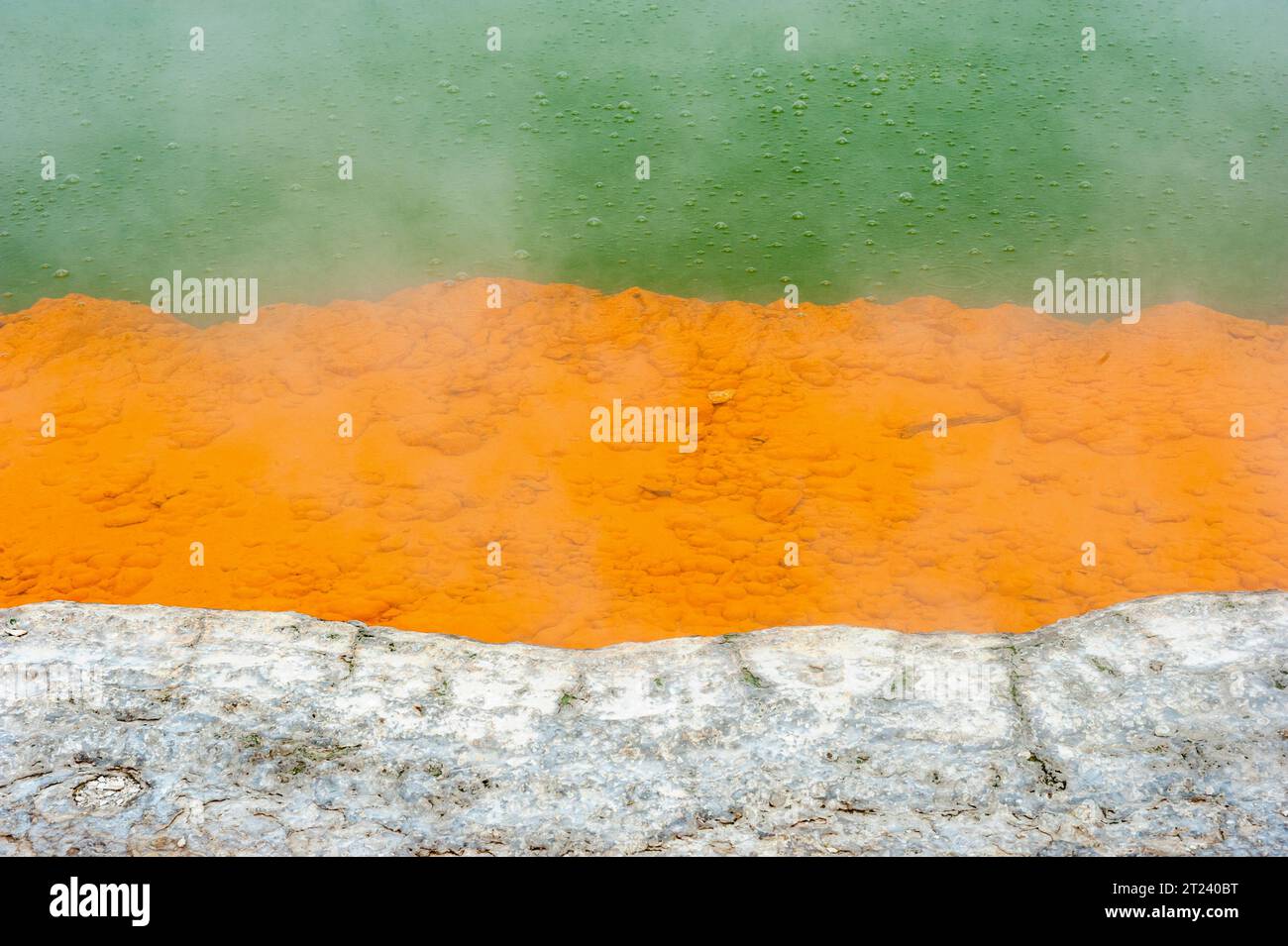 Champagne Pool, Wai-o-tapu, regione di Rotorua, Isola del Nord, nuova Zelanda Foto Stock