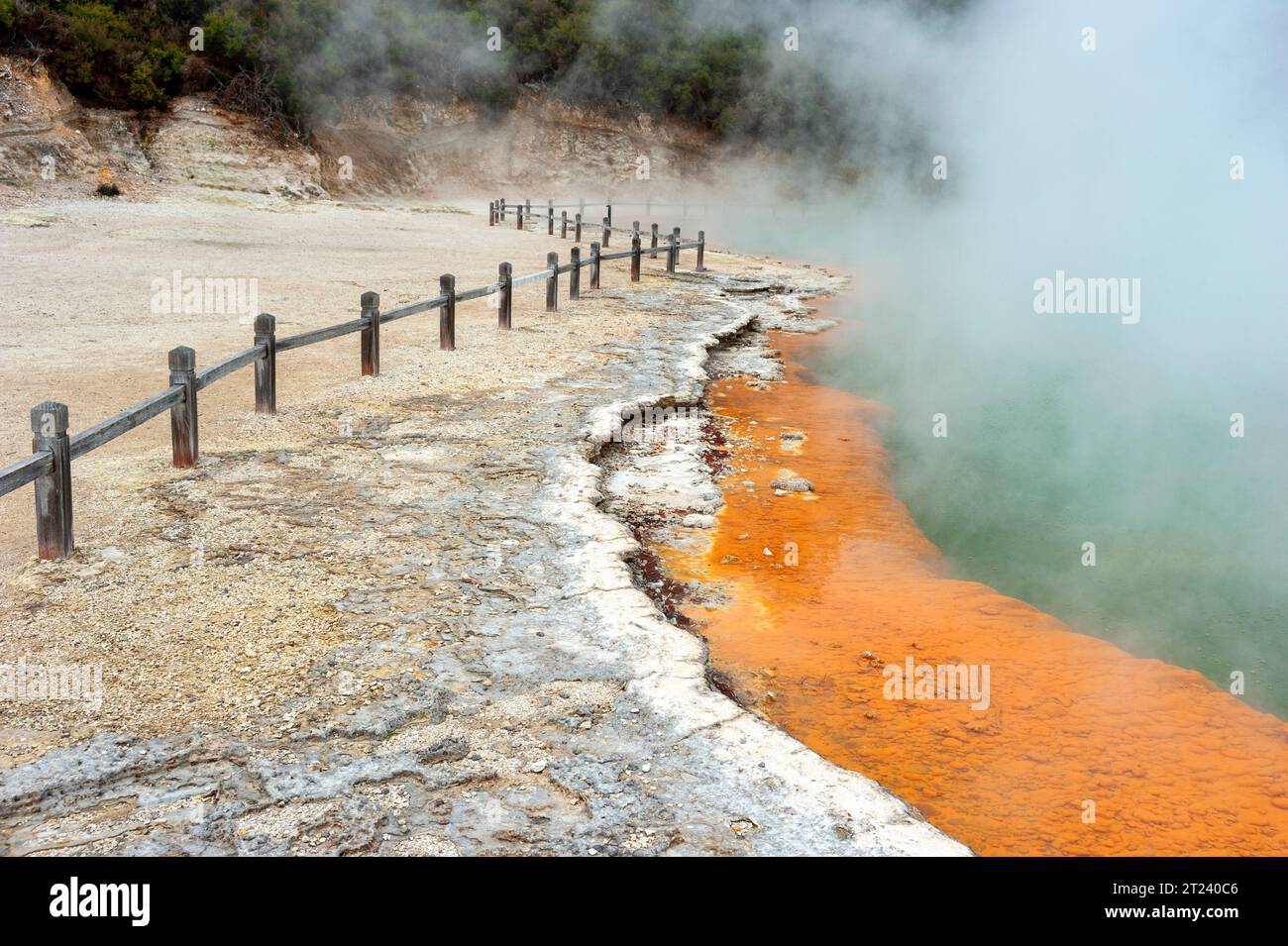 Champagne Pool, Wai-o-tapu, regione di Rotorua, Isola del Nord, nuova Zelanda Foto Stock