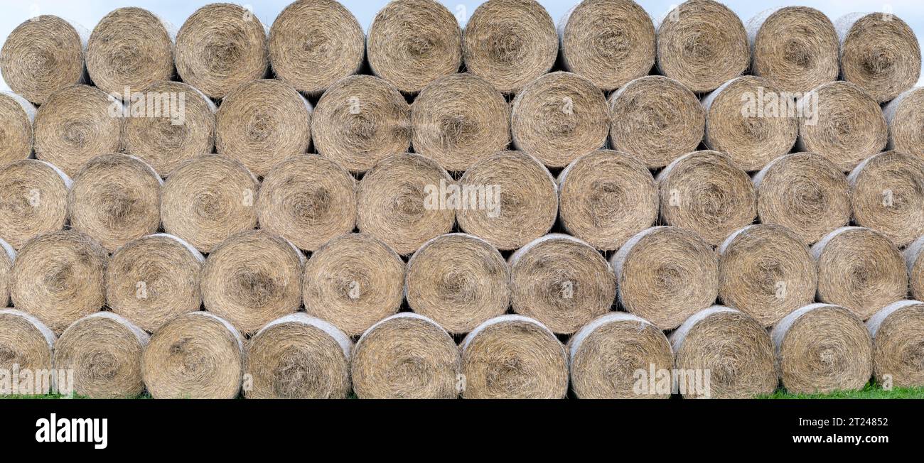 Pila di palle di fieno, fieno o haycock su un campo agricolo. Grandi rotoli di paglia in un'azienda agricola. Foto Stock