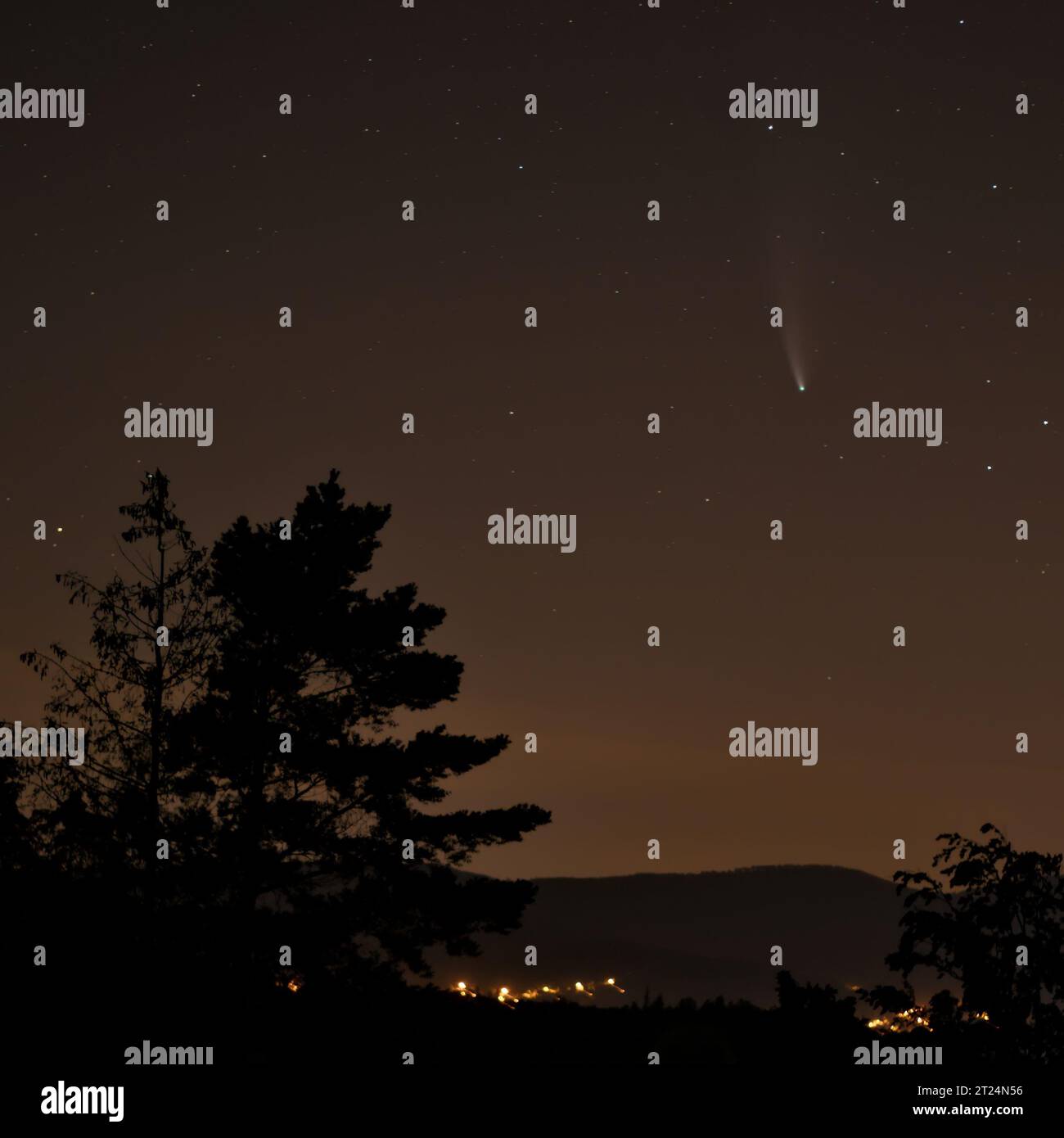 Cometa NevoISE e stelle nel cielo notturno. Fotografia notturna di paesaggi. Foto Stock