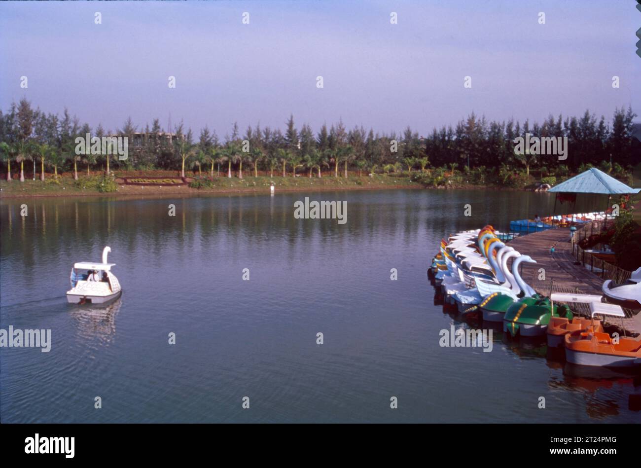 L'aspetto più affascinante di Yercaud è il suo grande ma naturale lago molto popolarmente conosciuto come il Lago di Smeraldo. Circondato da meravigliose colline con cime nuvolose e da un giardino ben perseverato sulle sue rive, questo lago è una festa per gli occhi. Foto Stock