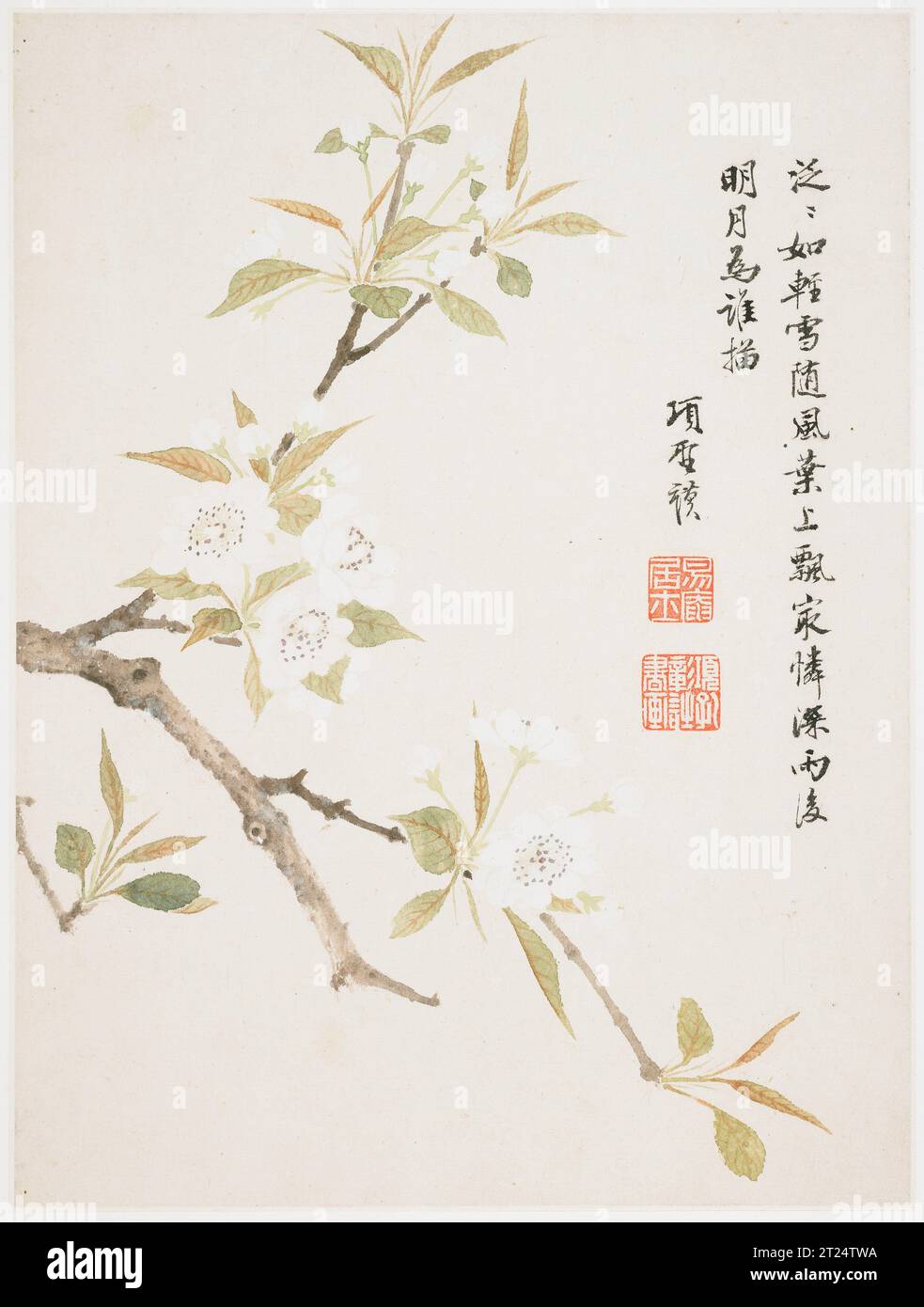 Pear Blossom from a Flower album of Ten Leaves (1656) Painting in High Resolution by Xiang Shengmo. Originale dal Minneapolis Institute of Art Di Foto Stock