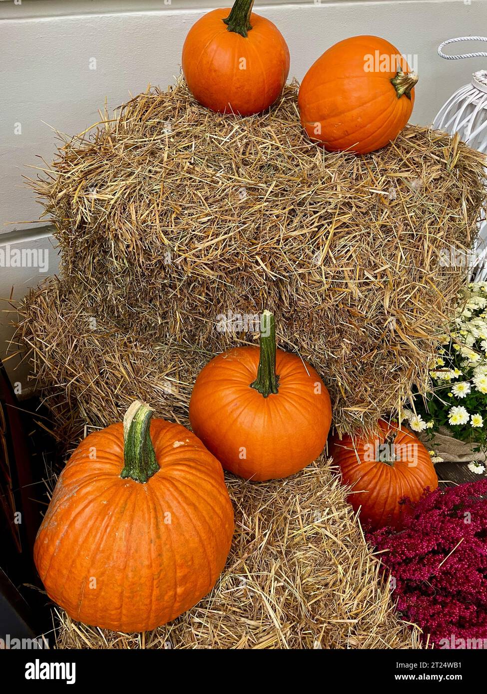 Zucche d'arancia poste accanto a un filo di fieno Foto Stock