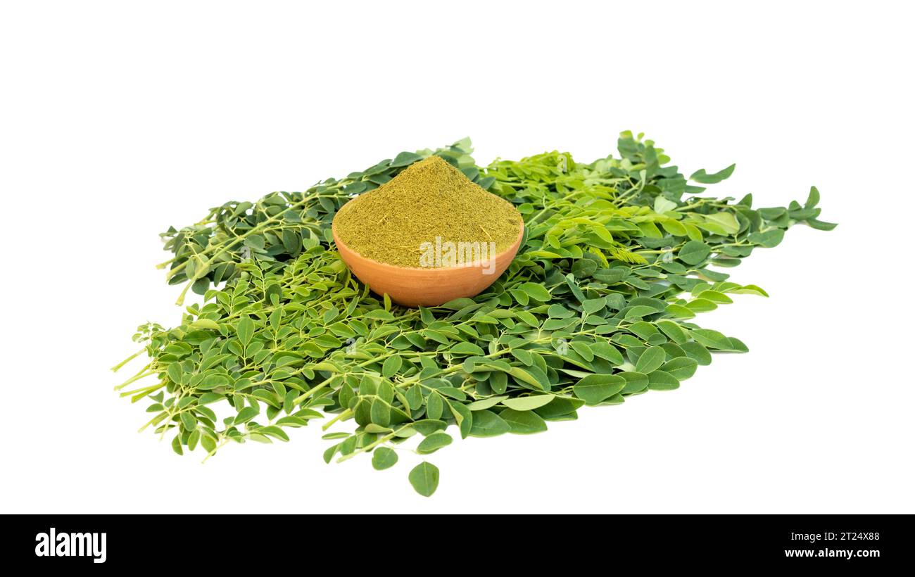 Polvere e foglie verdi fresche di albero miracoloso moringa su sfondo bianco isolato Foto Stock