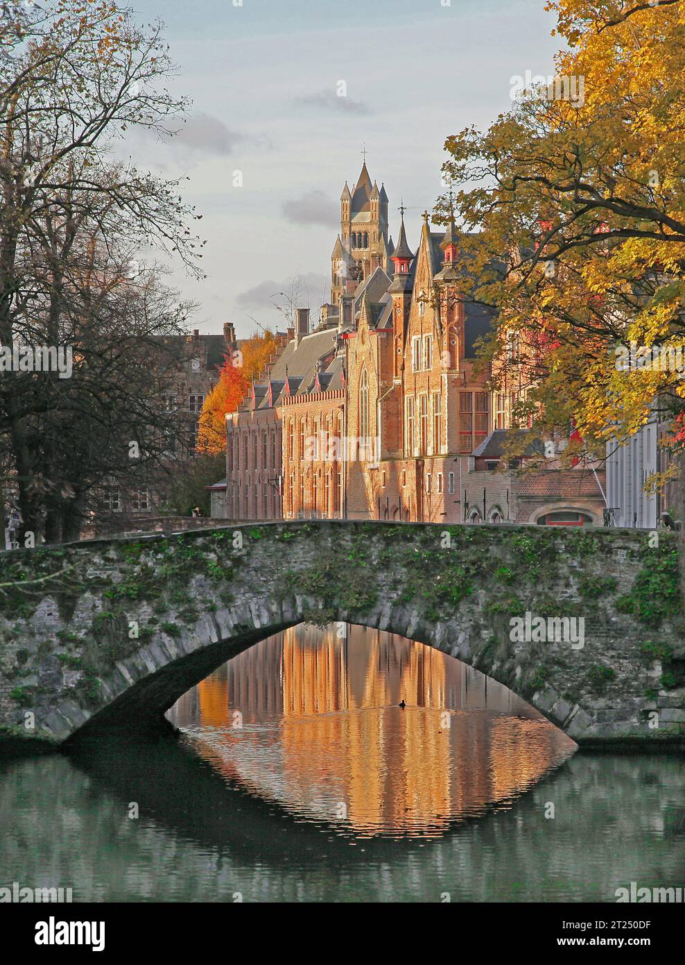 Ponte di Meestraat e municipio di Bruges Belgio.Stadhuis Bruges,Brugge,Brügge Belgio Foto Stock