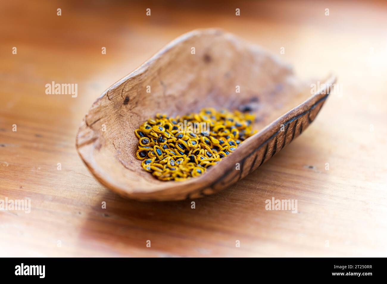 Bush tucker aborigeno. Australia centrale. Foto Stock