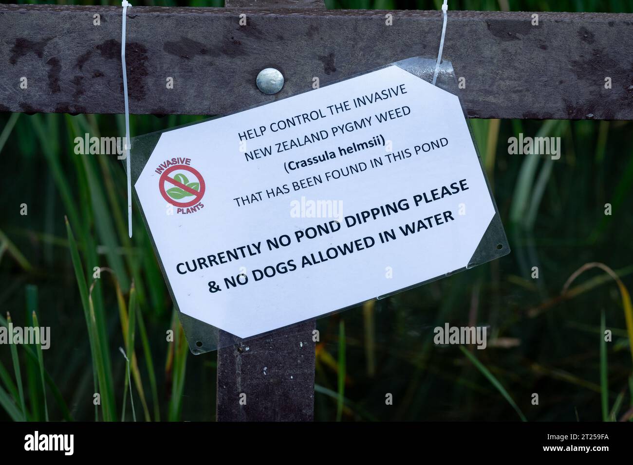 Cartello di avvertimento New Zealand Pygmy Weed (Crassula helmsii), Warwick, Regno Unito Foto Stock