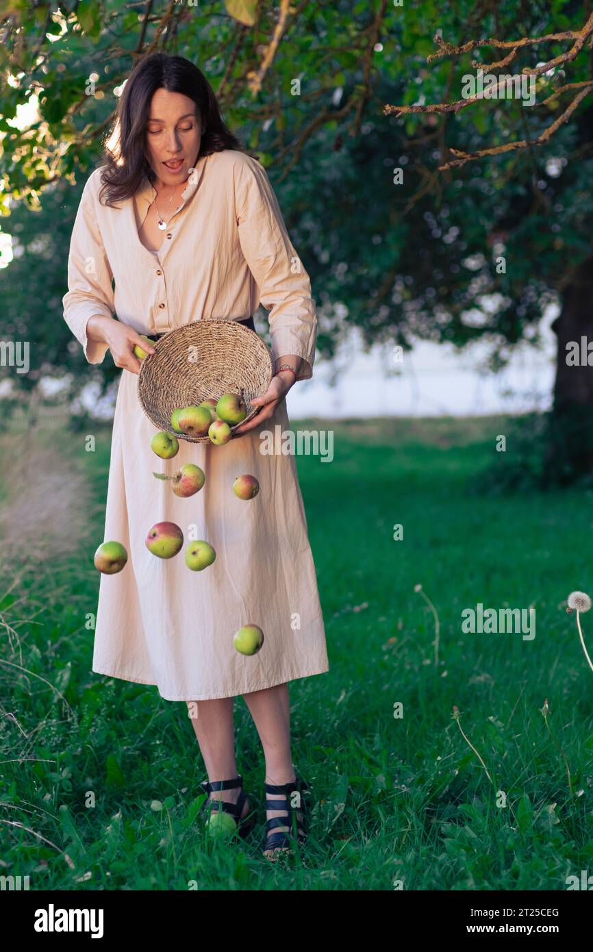 La bellissima ragazza disperde le mele e cadono dal cesto sull'erba. Giovane donna in bel vestito che posa nel frutteto di mele con la caduta Foto Stock